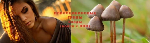 мескалин Алзамай