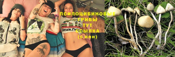 наркотики Алексин